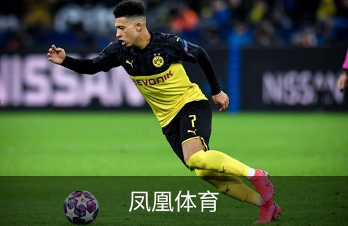 关于凤凰体育
